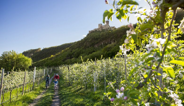 Radeln durch die Obstwiesen