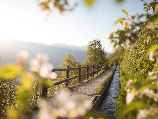 Marlinger Waalweg | Sentiero della roggia Marlengo | Canal trail Marling